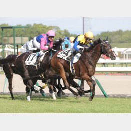 2走前は17番手からゴボウ抜き