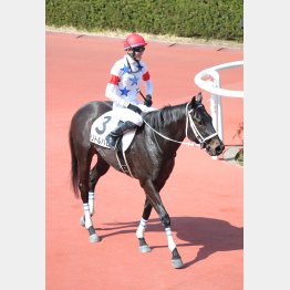 デビュー2連勝中