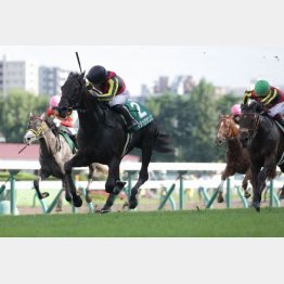 札幌2歳Sは押し切りだったが