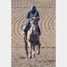 伯父は安田記念勝ちのストロングリターン