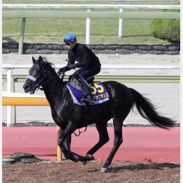 1週前は武豊が騎乗した