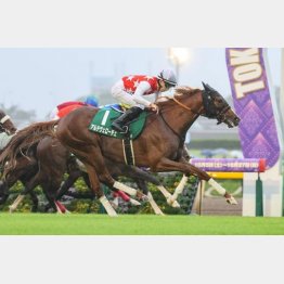 サウジアラビアRCで重賞勝ち