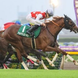 【市川の日曜競馬コラム・ＮＨＫマイルＣ】
