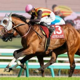 【大谷の日曜競馬コラム・ＮＨＫマイルＣ】