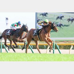 赤松賞を快勝