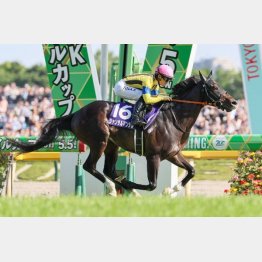 昨年は2番人気ジャンタルマンタルが制した