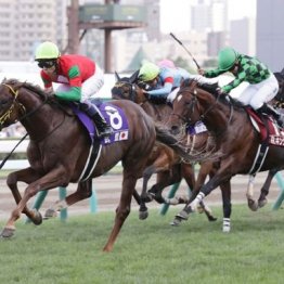 【東京本紙・外山の日曜東京10Ｒ】