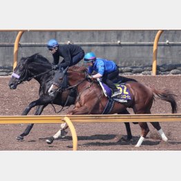 武豊を背に1週前追い
