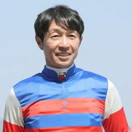 【ＮＨＫマイルＣ】マジックサンズ皐月賞⑥着に光　
