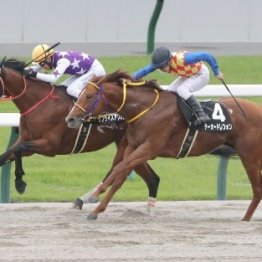 【平城京Ｓ】サンライズアリオン逃げ切り
