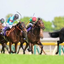 【ＮＨＫマイルＣ】３連単１５０万円！　大波乱を呼んだ逃げ馬不在のワナ