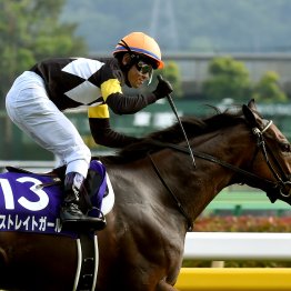 【ヴィクトリアマイル】２つの穴馬好走パターン