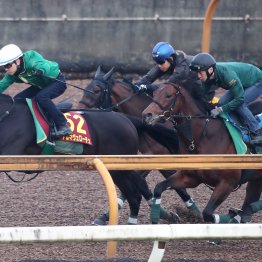 【オークス１週前】アルマヴェローチェ３頭併せで最先着