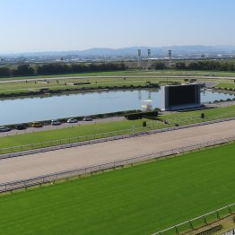 【京都ハイジャンプ】とにかく〝元気〟な１０歳馬アサクサゲンキが新天地で始動