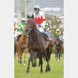 すでに3勝しているコンビで参戦