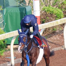 【ヴィクトリアマイル】主要前哨戦で明暗を分けた２頭に注目