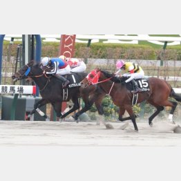 前走③着は負けて強しの内容