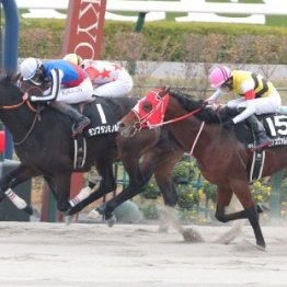 【市川の土曜競馬コラム・上賀茂Ｓ】