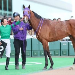【大谷の土曜競馬コラム・新潟大賞典】
