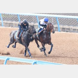 戸崎も手応えあり(右)