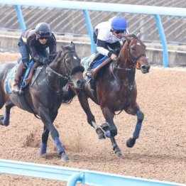 【武田の土曜競馬コラム・新潟大賞典】