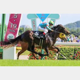 カーネーションCを差し切り