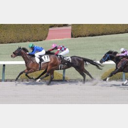 前々走で1勝クラスを卒業
