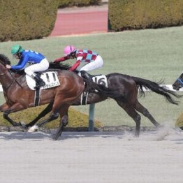 【東京本紙・外山の土曜東京10Ｒ】