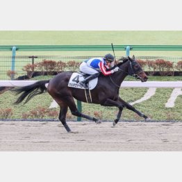 東京で初勝利