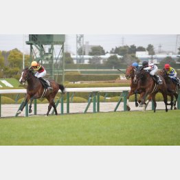昇級初戦の前走が②着