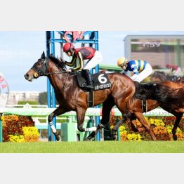 休み明けの美浦Ｓを差し切り