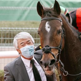 21年ヴィクトリアＭ覇者グランアレグリア