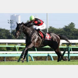 マイルでこそ持ち味が生きる