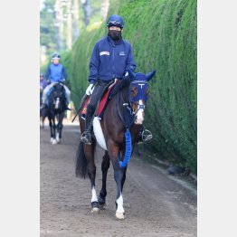 先週同様の高速馬場なら