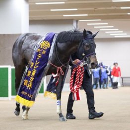 【飯島の日曜競馬コラム・東京２Ｒ】