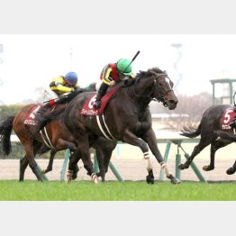金鯱賞が好内容