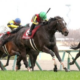 【大谷の日曜競馬コラム・ヴィクトリアマイル】