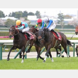 阪神牝馬S勝ちで急浮上