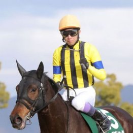 【橘の日曜競馬コラム・ヴィクトリアマイル】