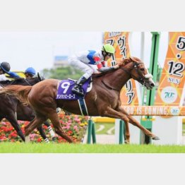 昨24年は14番人気テンハッピーローズが勝って大波乱