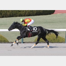 鳴門Sを完勝