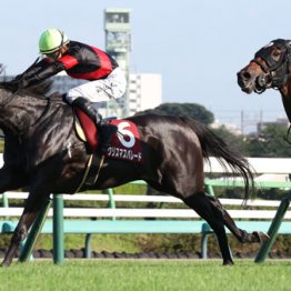 【ヴィクトリアマイル】◎クリスマスパレード　天性のスピード　楽しみなマイル挑戦です
