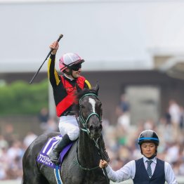 ＧⅠ２勝目アスコリピチェーノの妹はＰＯＧでも注目の４億円ホース