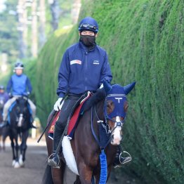 ＧⅠ２勝目アスコリピチェーノの妹はＰＯＧでも注目の４億円ホース
