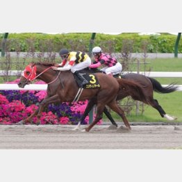 勝ち馬は10番人気