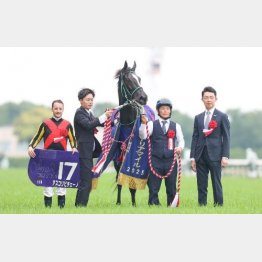 ①着アスコリピチェーノ(ルメール騎手)「千四~マイルまでではトップクラスの馬」