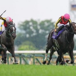 【ヴィクトリアマイル】芝の中長距離だけじゃなくダートでも…とにかく４歳牝馬が強すぎる