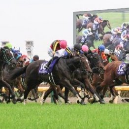 土曜の雨でこれまでの傾向がガラリと…