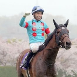 【オークス】桜花賞馬エンブロイダリー、１８頭目の春２冠目指す 「３歳牝馬に東京の二千四百メートルは凄く過酷な舞台。スピードと総合力で」（森一誠調教師）