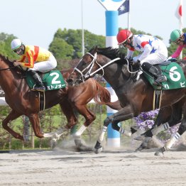 【平安Ｓ】前走①②着馬を要チェック